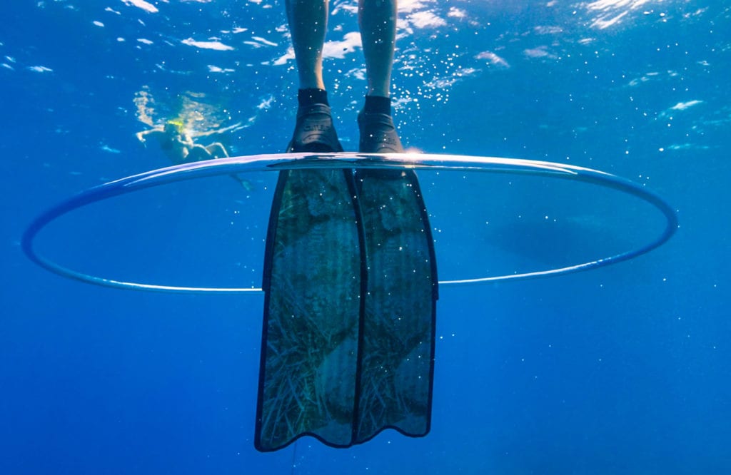 moondance best of fins photo