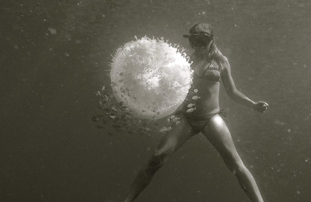 moondance best of underwater photo