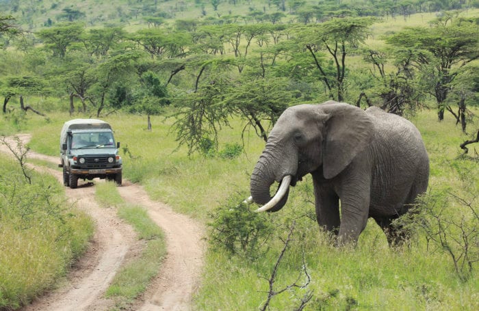 South Africa + Mozambique